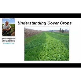 Cover Crops: Key to Healthy Soils