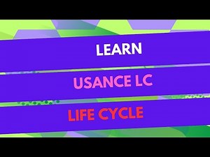 Life Cycle of an Usance LC
