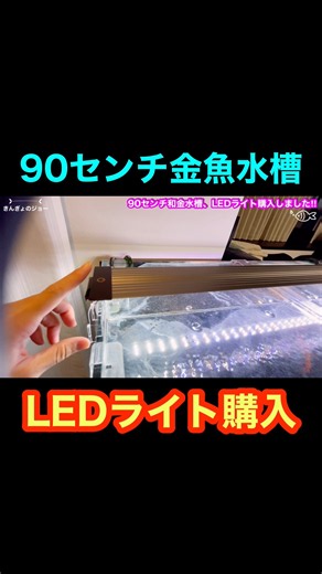 90センチ金魚水槽‼︎LEDライト購入‼︎ #きんぎょのジョー #金魚 #アクアリウム