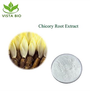 [Hot Item] Free Sample Food Grade Chicory Root Extract Inulin Powder
