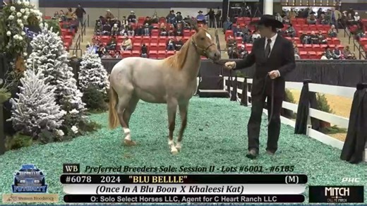 In Fort Worth, the fast-talking rhythm of an auction is the heartbeat of a family tradition