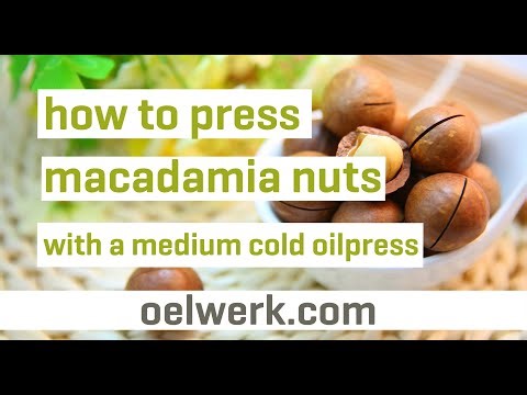 Macadamia oil pressing with popular medium cold oilpress - made in germany