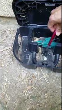 Rat/Mice Control--Bait Stations