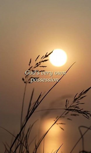 Called Into His Wonderful Light | 1 Peter 2:9 NLT