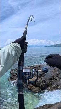 I saw a monster and then this happened! #solo #fishing