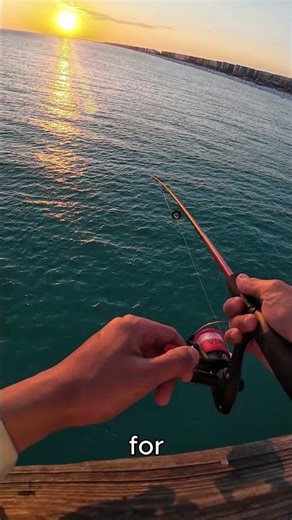 🦑SQUID season in Florida hits DIFFERENT in DESTIN🦑 #fishing #destin #shorts #howto #squid #fish