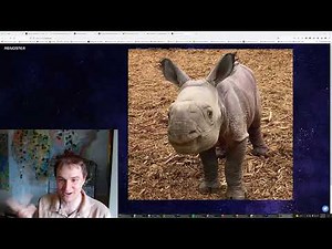 My next adventure: Renoster