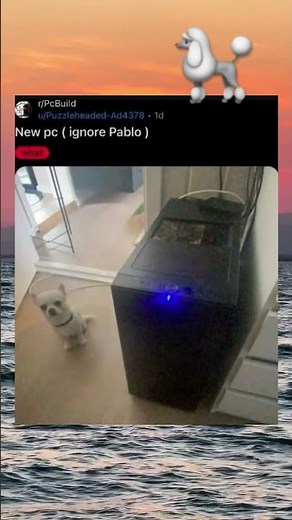 New pc (ignore Pablo)🐩