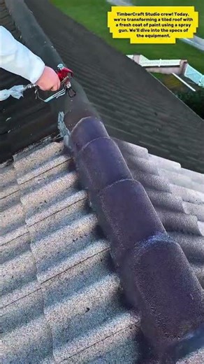 Roof Transformation: Spray Painting Tiles for a Modern Look!
