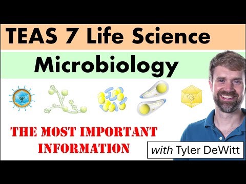 TEAS 7 Life Science: Microbiology