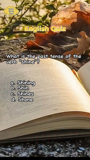 4.5K views · 146 reactions | This short quiz will test how well you know the English language. #learnmore #learnenglish #educationmatters #englishteaching #challengeyourself #LearnMore #exerciseyourbrain #englishlanguage | Daily Brain Quiz | Facebook