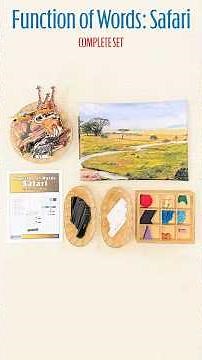 Function of Words - Safari #montessori #montessoriactivity #education #youtubeshorts