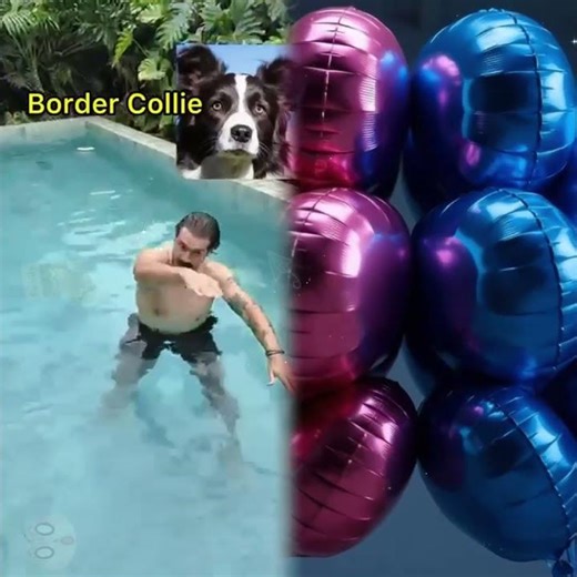 Por favor comparte con tus amigos #pov #herramientas #sketch #gracioso #actuación #historia