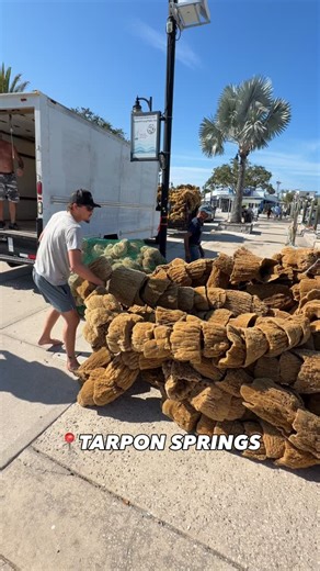 PeakACity on Instagram: "The REAL Florida Finds Tarpon Springs Edition Did you know there is a secret Greek town in the middle of Flirida? Let me tell you guys this is actually the sponge capital of the world and it’s one of the few places in Florida where most of the locals speak Greek! A fun place to explore with friend and family and so many unique vendors and foodie finds! 📍Tarpon spring #secretspot #visitflorida #tarponsprings #vacationideas #floridaadventures"