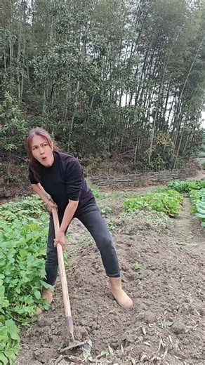 The breeding season has arrived again, birds—it's truly lively! #Local...