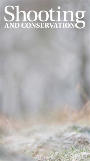 The first Shooting and Conservation issue of 2026 is making its way to BASC members. Have you received yours yet? | BASC - The British Association for Shooting and Conservation