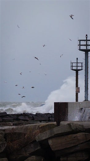 Lake Erie slamming the pier wall at the Edgewater boat launch in Cleveland, Ohio- December 29, 2025 #edgewaterpark #lakeerie #clevelandohio #greatlakes #winterweather #stormseason #lakeeffect #clevelandreels #ohiolife | Propped Productions