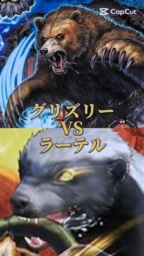 グリズリーVSラーテル #凶暴動物 #最強王図鑑 #強さ比べ