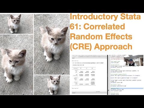 Introductory Stata 61: Correlated Random Effects (CRE) Approach