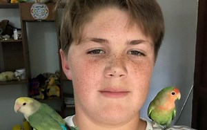 Niño dueño de "Chimuelo" se convierte en Youtuber