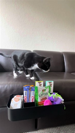 BuySquirrel on TikTok