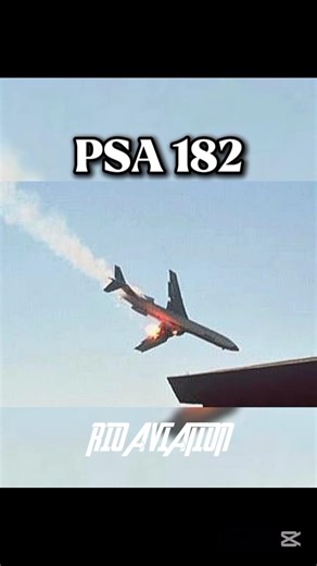 Planes and Their Final photos ✈️ #aviation #airplane #crash #aviationhistory #photo #shorts