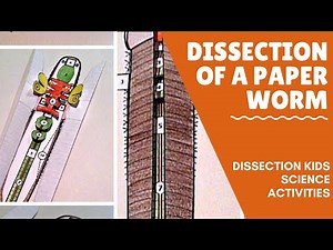 Dissecting Paper Worms - Build a Worm as you learn it's anatomy