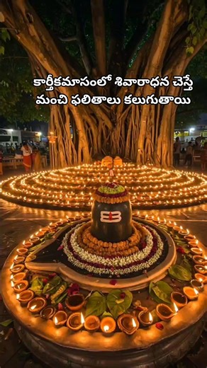 కార్తీకమాసంలో శివారాధన చెస్తే మంచి ఫలితాలు కలుగుతాయి#god #shiva #karhikamasam #mythology #shortsfeed