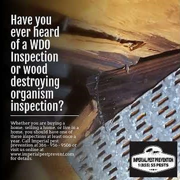 Have you ever heard of a WDO Inspection or wood destroying organism inspection?