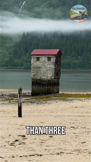PICTURE SPOT - Juneau's Hidden Gold Mine! #shorts