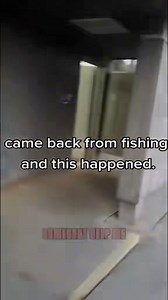 602K views · 8.4K reactions | May sumisigaw sa public restroom略 #fbreelsvideo #fbviralreels #fbpost #pinkiejesy #viralpost #pinkiejesyreels #storytimewithjesy #reelsvideo #creepy #scary #horror | Jesy Liwanag | Facebook