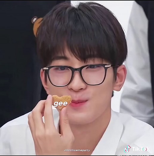 SVT Hip Hop Unit: Cool Edit Compilation