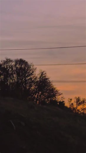 Health and Wellness Tips from Experts