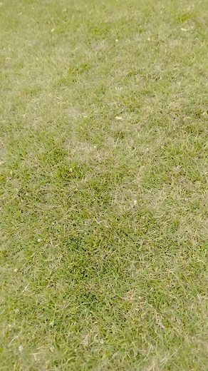 Alex Huerta (@alexhuerta81)’s videos with sonido original - David Guillin Fernan