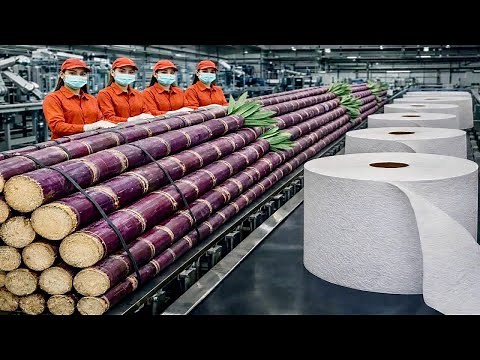 Inside a Modern Eco-Friendly Paper Factory Made from Recycled Sugarcane Waste (Full Process)