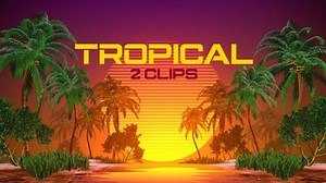 Retro Sunset with Palm Trees Looping Background