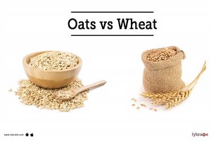 What is difference between oats and wheat? [2025] | QAQooking.wiki