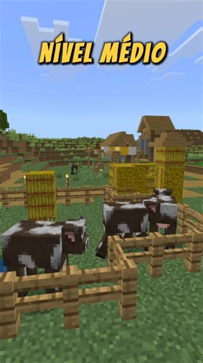 Esconde esconde no Minecraft parte 12