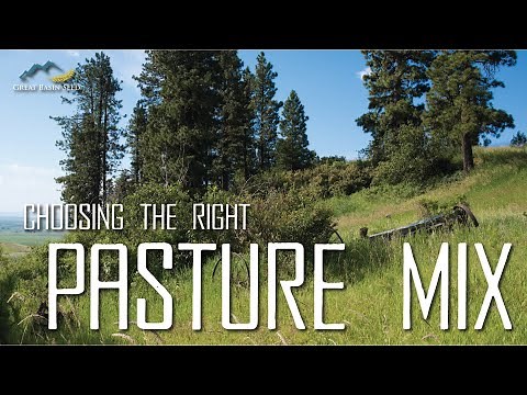 Choosing the Right Pasture Mix - Great Basin Seed