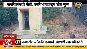 Lonavala Leopard Spotted | लोणावळ्यात INS शिवज परिसरात बिबट्याचा वावर , नागरिकांमध्ये दहशत #lonavala #LeopardSpotting #ndtvmarathi | NDTVMarathi