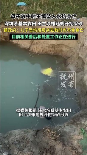母子放牛时不慎坠入水坑身亡，深坑系基本农田，田主涉嫌违规开挖采砂，镇政府：儿子坠坑后母亲去救时也不幸身亡，目前相关善后和处置工作正在进行