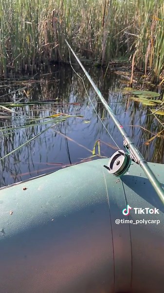 Polycarp на TikTok