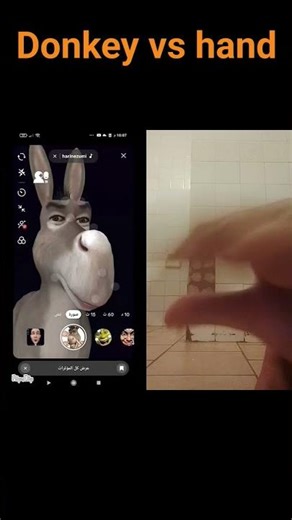 donkey vs hand
