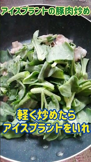 【手料理】アイスプラントの豚肉炒め作ってみた♪ #shorts #料理 #アイスプラント