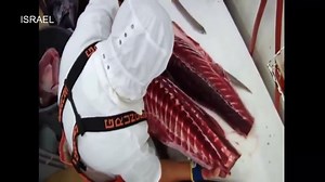 World Amazing Modern Latest Intelligent Technology: Fish  Processing