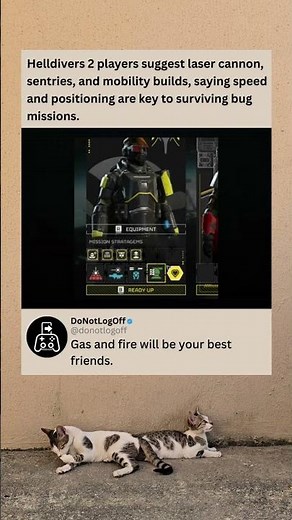 Helldivers 2 Players Reveal Best Loadouts To Survive Bug Missions 😳🔥 #helldivers2