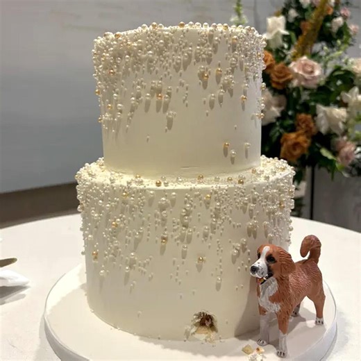 Personalized Polymer Clay Dog Figurine, Custom Pet Cake Topper - Etsy