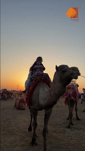 Saputara | Hill Views, Local Flavors & Culture | Gujarat Tourism