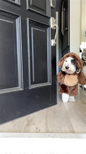 Charles Michael Davis on Instagram: "Allow him to reintroduce himself. His name is Ernie! E R N to the I E"