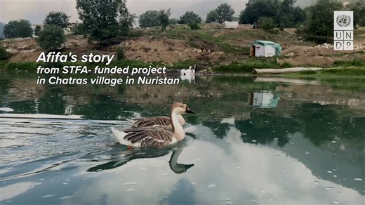 1.6K views · 26 reactions | A new 100 kW micro-hydro plant, supported by the Special Trust Fund for Afghanistan (STFA), now powers 400 families, local businesses & a health clinic in Nuristan. For Afifa, a teacher, it means brighter classrooms & a better future for her students. | United Nations Development Programme in Afghanistan | Facebook